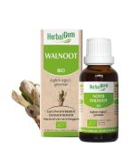 HerbalGem Noyer Bio | 30 ml