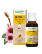 HerbalGem Propolis Large Spectre Gouttes Bio Gorge | 15 ml