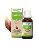 HerbalGem Cassis Bio | 30 ml