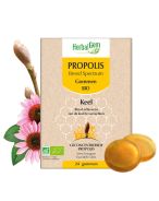 HerbalGem Propolis Large Spectre Gommes Bio Gorge | 24 pièces
