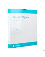 Biatain Alginate 15 x 15 cm (3715) | 10 pièces