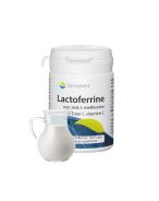 Springfield Lactoferrine | 60 gélules