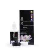 Oté Fine + Etui | 40 ml