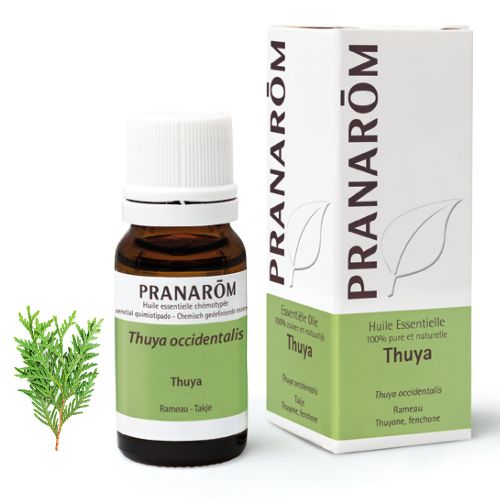 Pranarôm Huile Essentielle Thuya | 10 ml