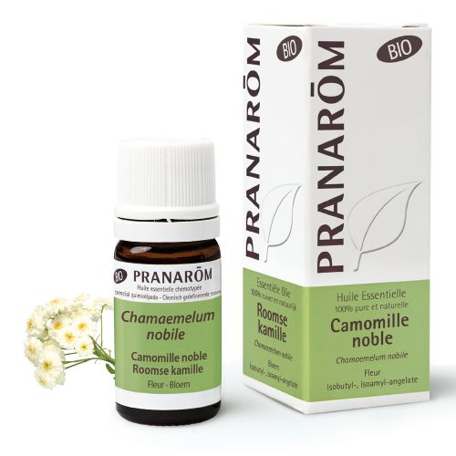 Pranarôm Huile Essentielle Camomille Noble Bio | 5 ml