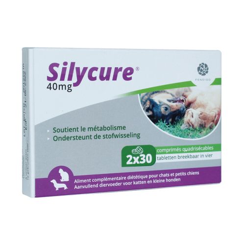 Silycure 40 mg | 2 x 30 comprimés