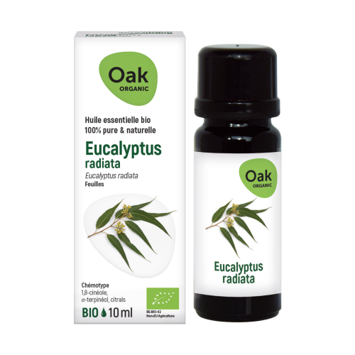 Oak Organic Eucalyptus Radiata | 10 ml