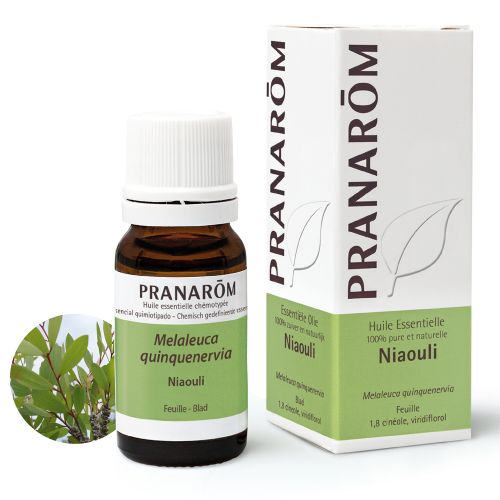 Pranarôm Huile Essentielle Niaouli | 10 ml