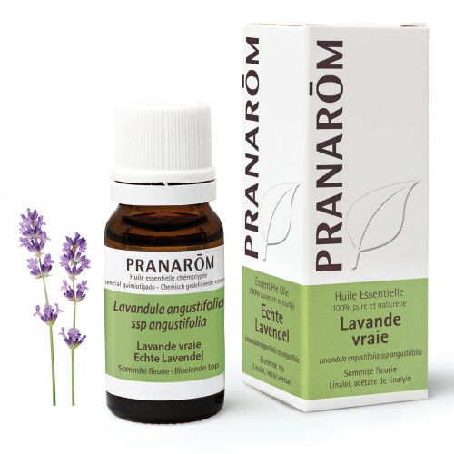 Pranarôm Huile Essentielle Lavande Vraie | 10 ml