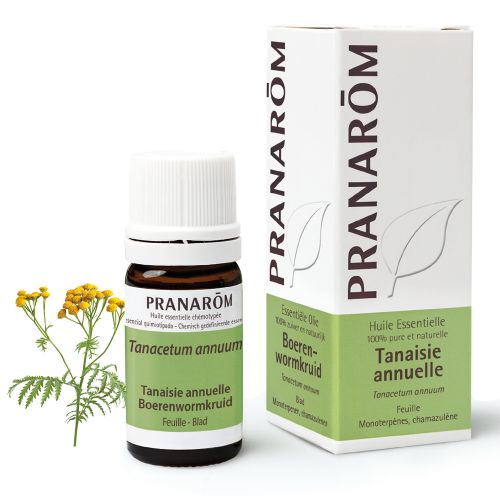Pranarôm Huile Essentielle Tanaisie Annuelle | 5 ml