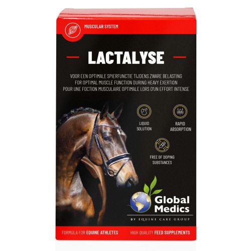 Global Medics Lactalyse | 400 ml