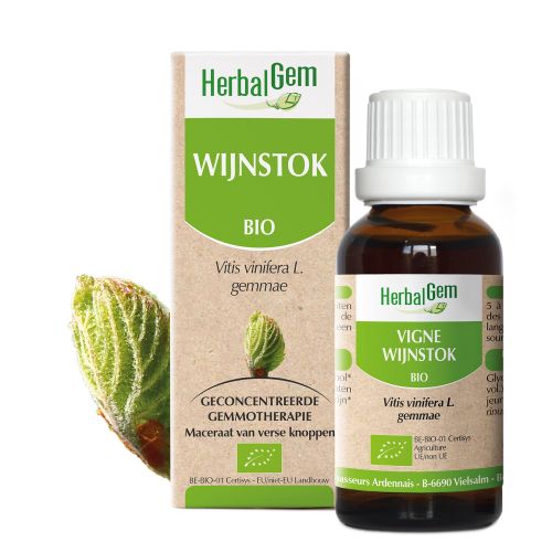 HerbalGem Vigne Bio | 30 ml